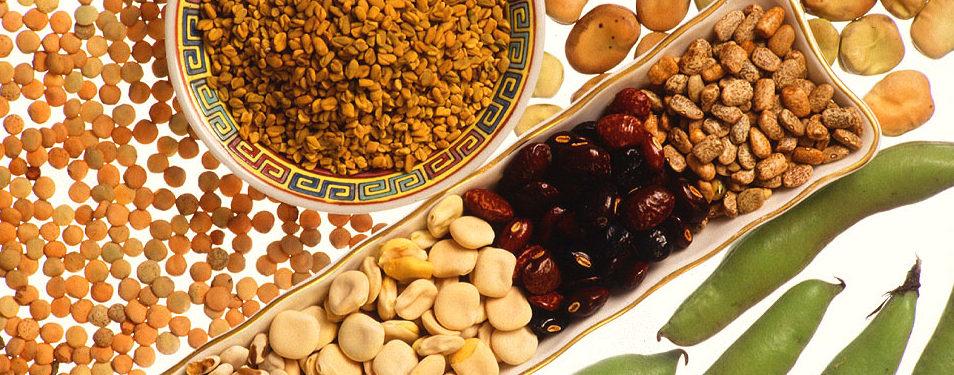 Kitniyot: To Eat or Not to Eat?