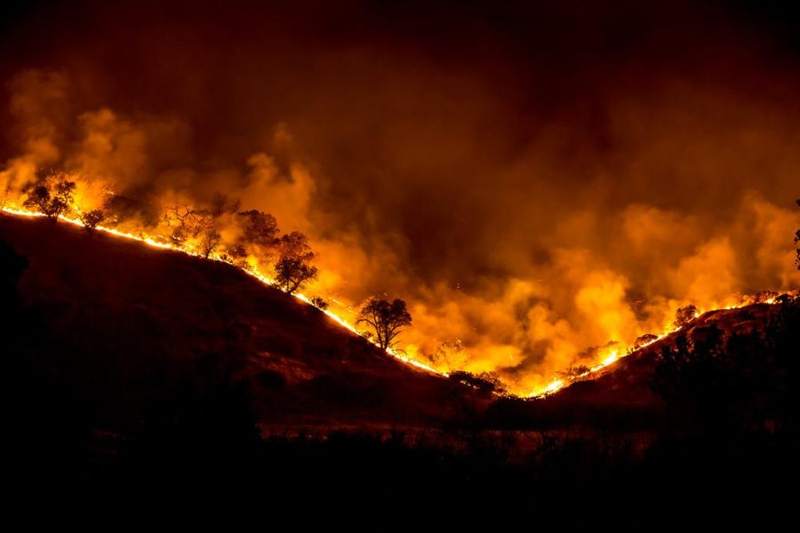 Deadly Fires in California Destroy Jewish Communities