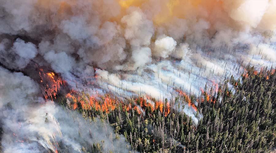 https://www.flickr.com/photos/yellowstonenps/9573555526/; https://creativecommons.org/licenses/by/2.0/